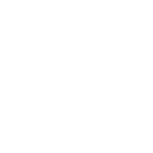 Software-aus-Oesterreich