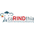 Logo_caRINDthia.png